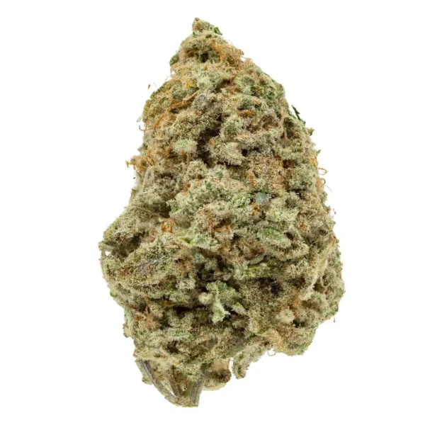 Hash Plant (AAA)