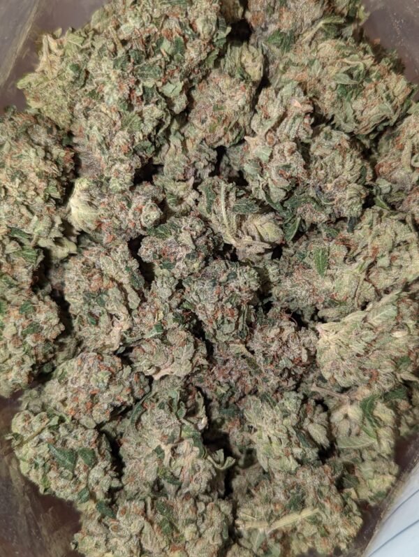 Hydro Island Pink Kush *smalls* (AAAA-)
