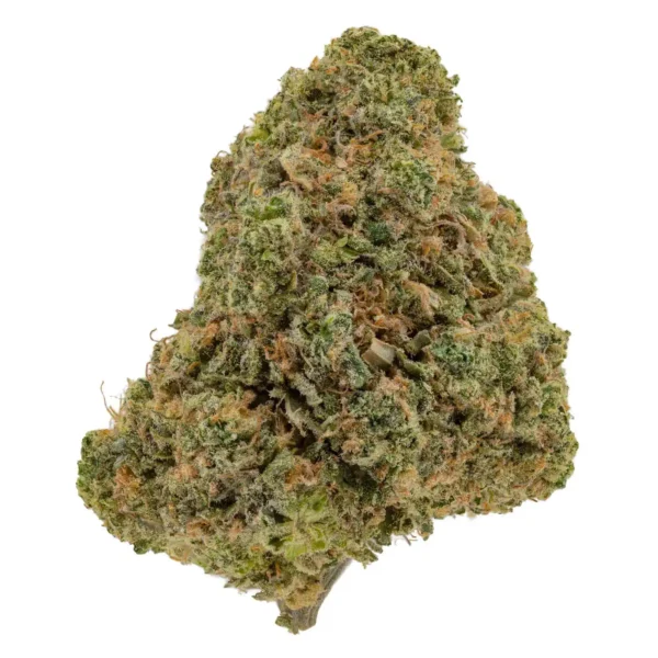 Jet Fuel Gelato (AAA-)