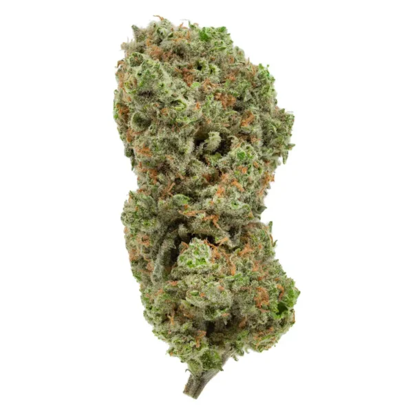 Jack Herer (AAA)