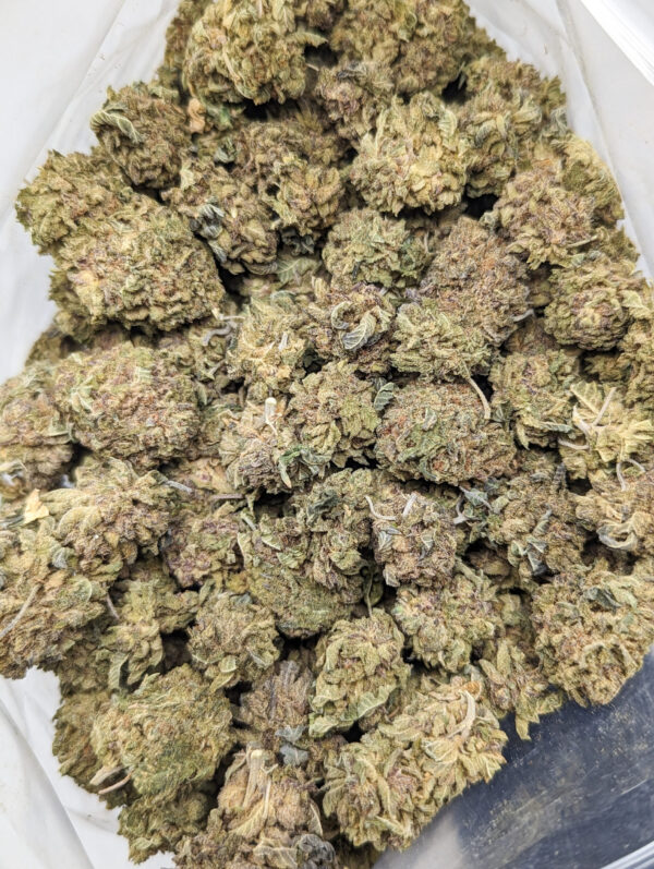 Jungle Diamond (AA+)