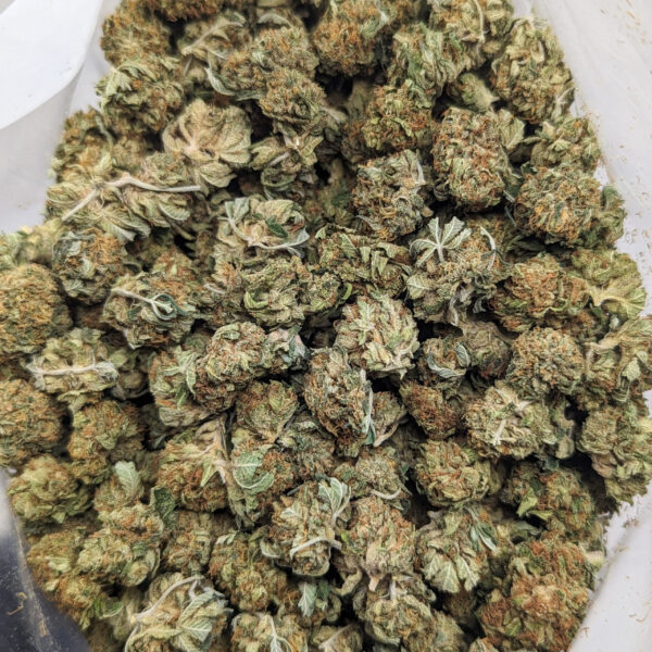 King Kush (AAA) *smalls/popcorn*