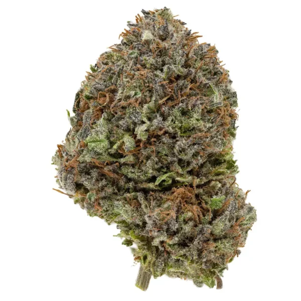Kush Berry (AAA)