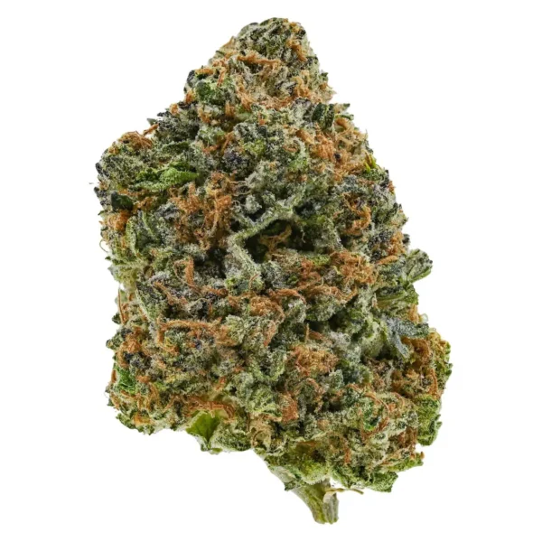Lava Cake (AA+)