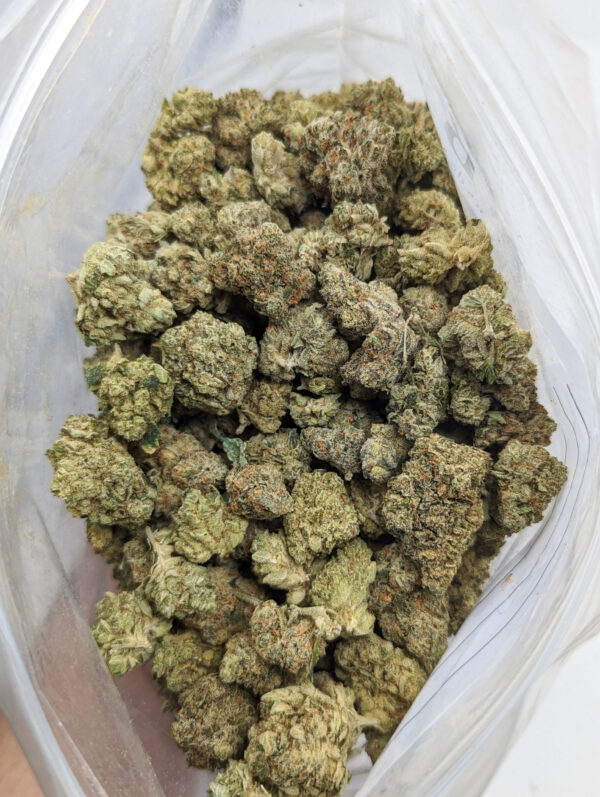 Lemon Runtz *smalls popcorn* (AAAA-)