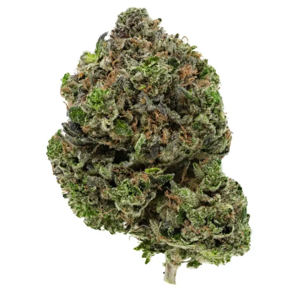 OG #18 (AAA)