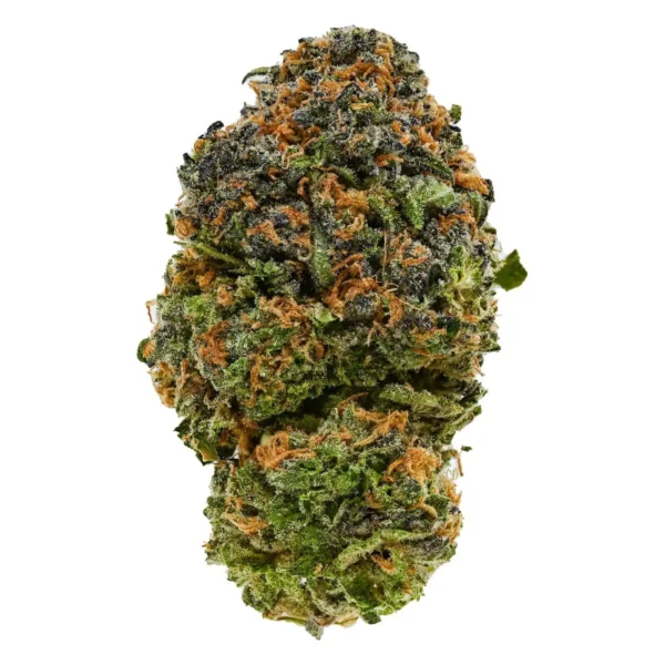 Orange Creamsicle (AAA)