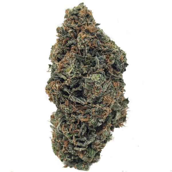 Original Glue (AAA)