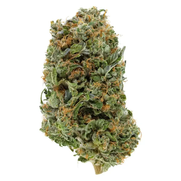 Platinum Pink (AAA)