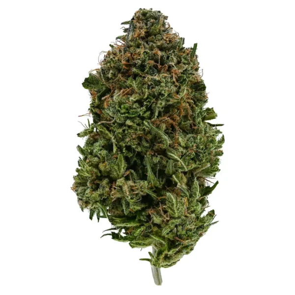 Pink Alien (AAA)