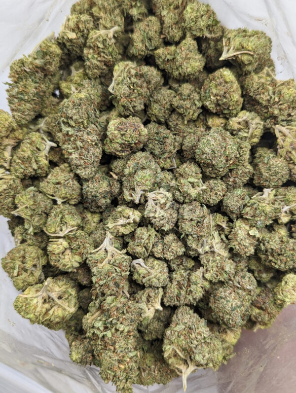 Pink Kush *smalls*