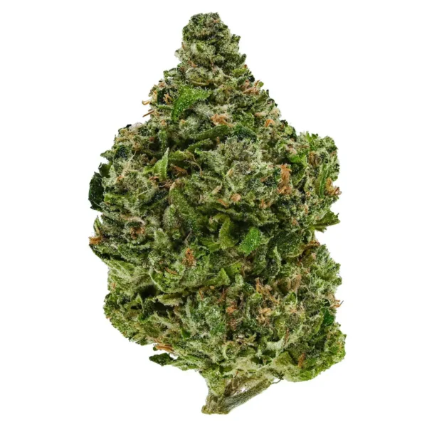 Pink Rockstar (AAA)