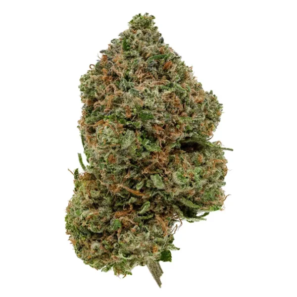 Pink Tuna (AAA)