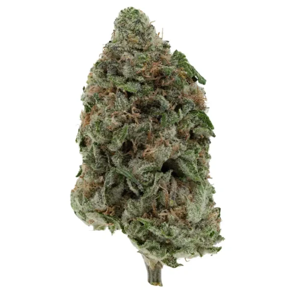Platinum Blackberry (AAA)