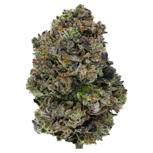 Motor Breath (AAAA+)