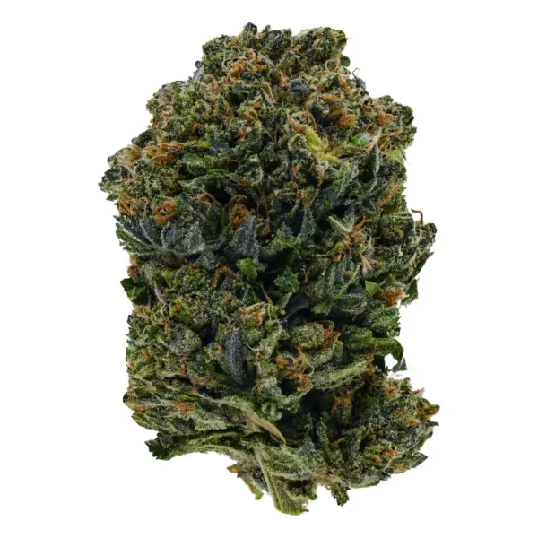 Master Bubba (AAA)