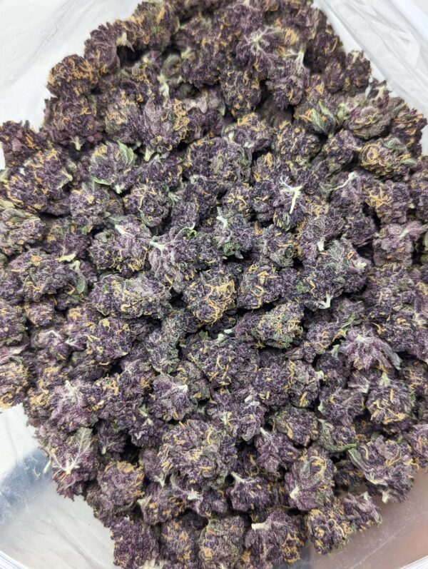 Purple Punch *popcorn/smalls* (AAAA)