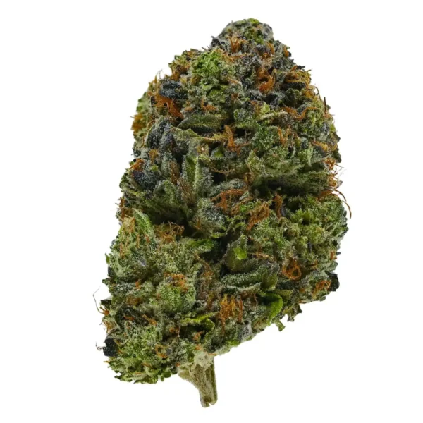 Black Gas (AAA)