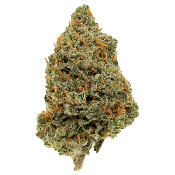 Red Congo (AAA+)