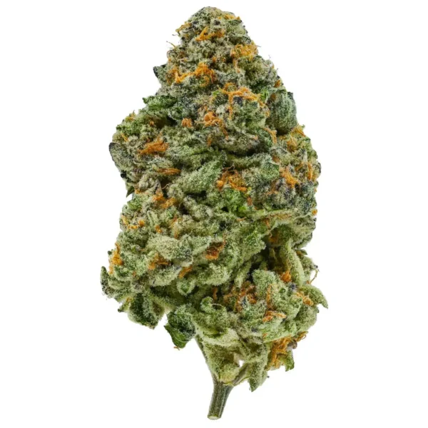 Chocolate Thai (AAA)