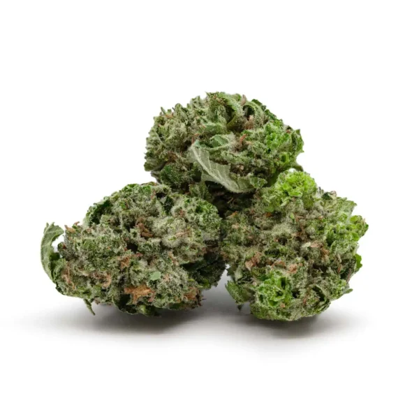 Tuna Rockstar (AAAA) *smalls/popcorn*