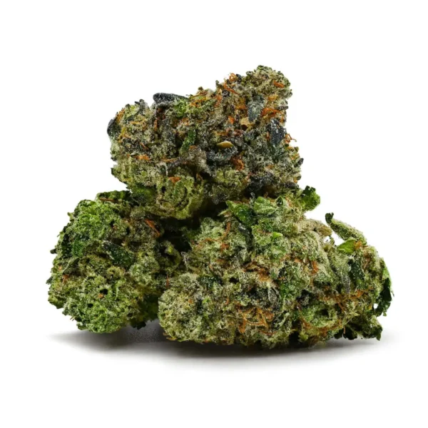 Island Rockstar (AAA+) *smalls/popcorn*