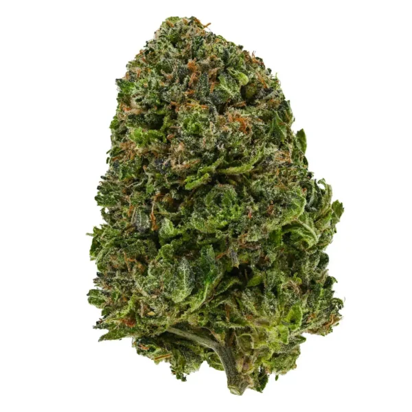 Snoop Dogg OG (AAA)