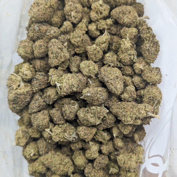Space Queen (AAA) *smalls/popcorn*