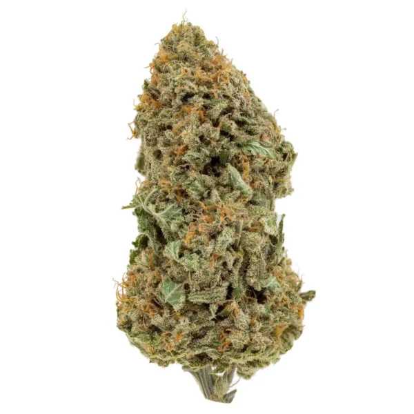 Sunset Sherbet (AAA)
