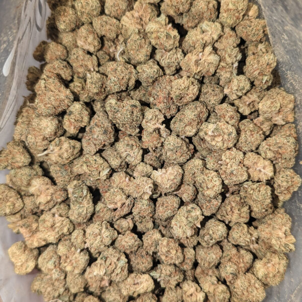 Sunset Sherbet *smalls*