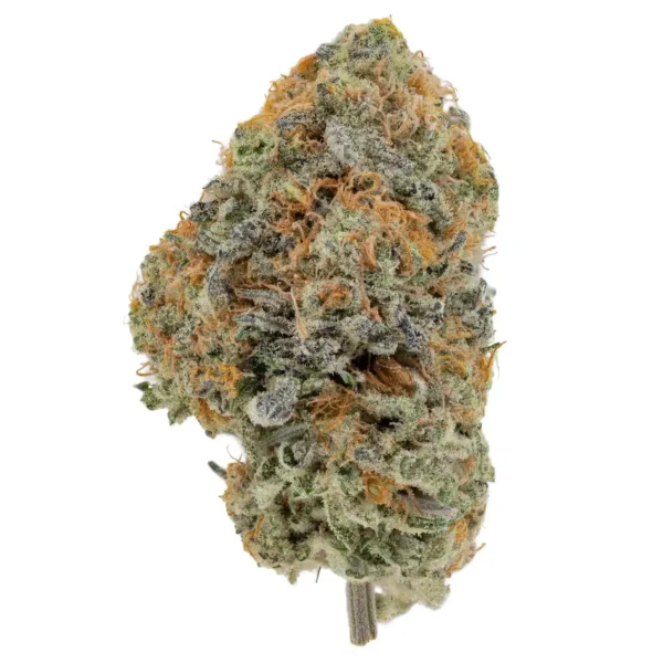 Tangie (AAA)