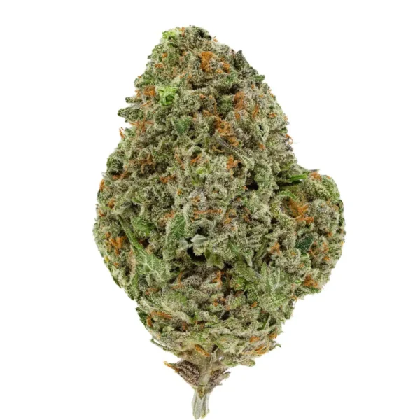 Tropic Thunder (AAA)