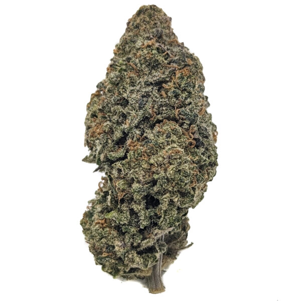 Tropicana (AAA)
