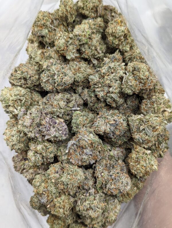 Trunk Funk (AAA+)