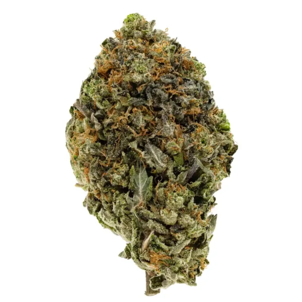 King Kush (AAA-)