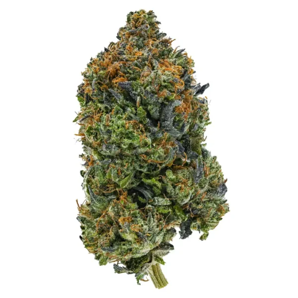 Tuna Kush (AAA)