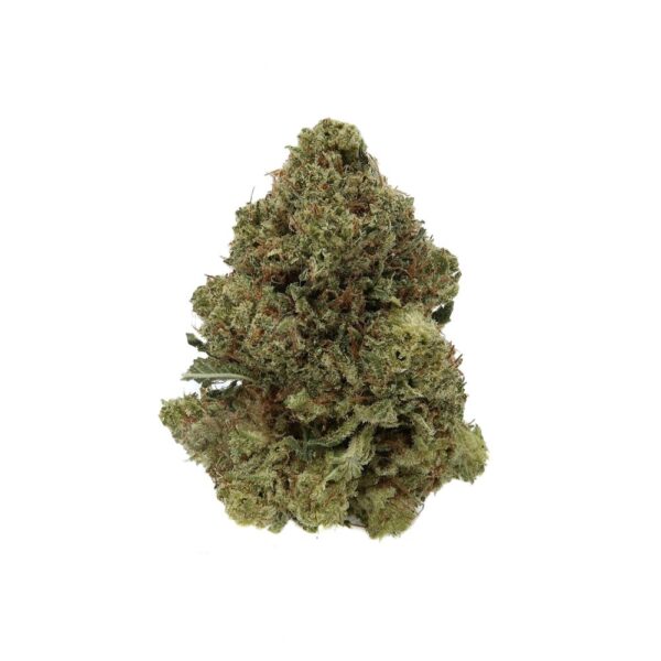 Violator Kush