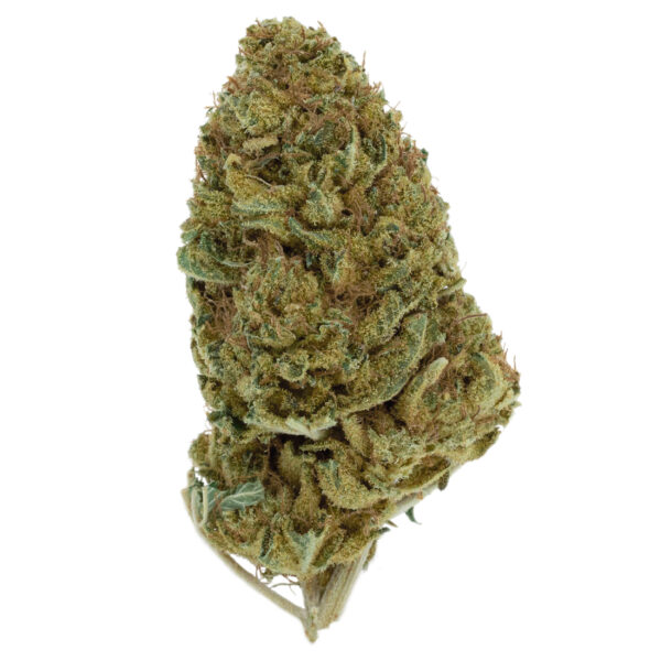 Violator Kush (AA+)